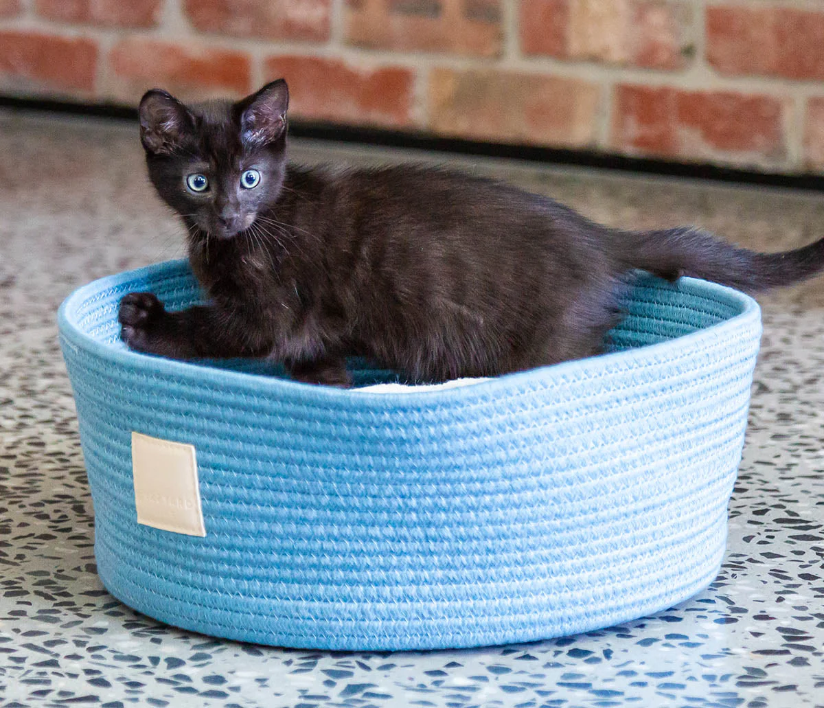 Stimulicat Cat Bed, Stimulicat Handwoven Basket, Instinct