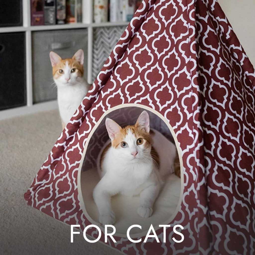 Button-Cats