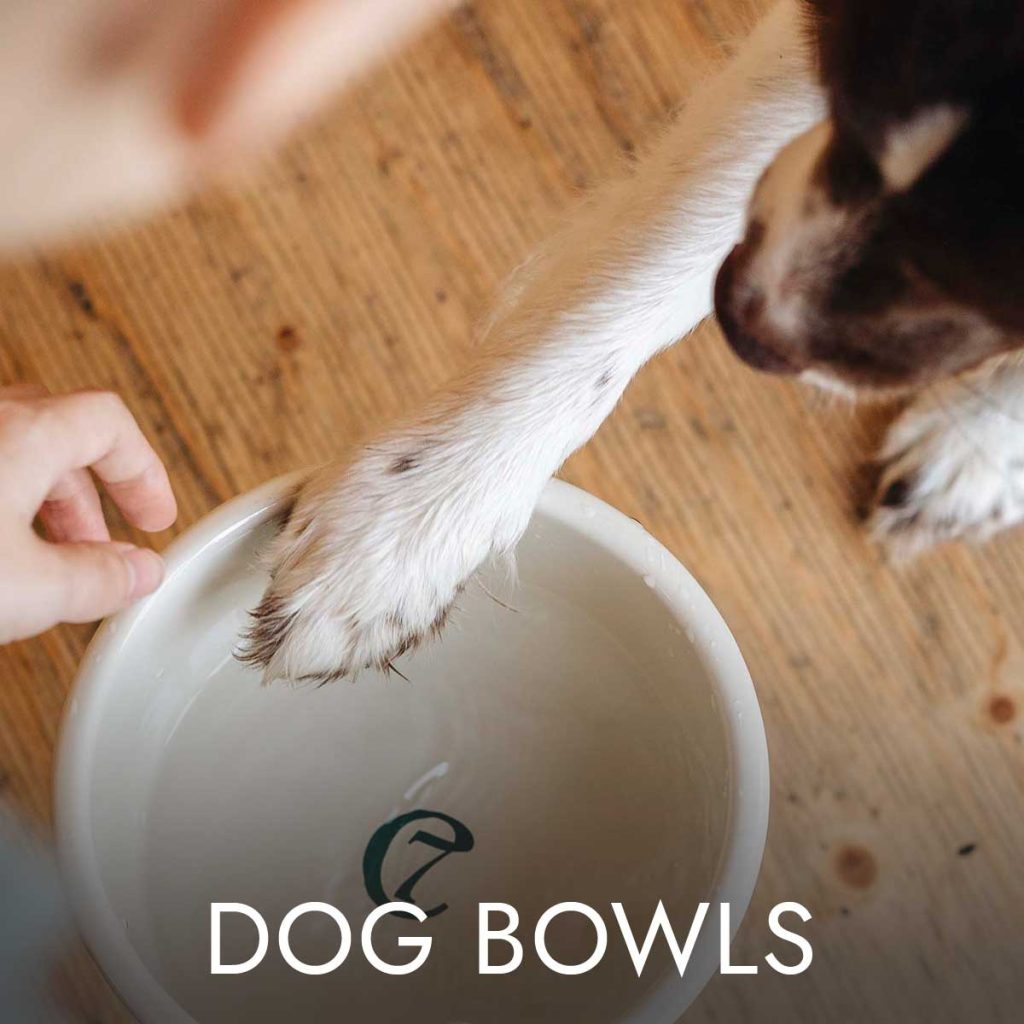 Button-Dog-Bowls