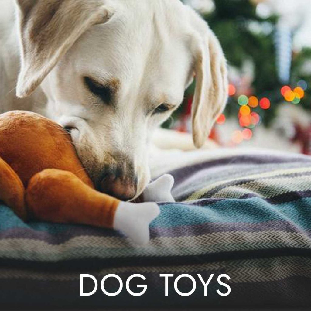 Button-Dog-Toys
