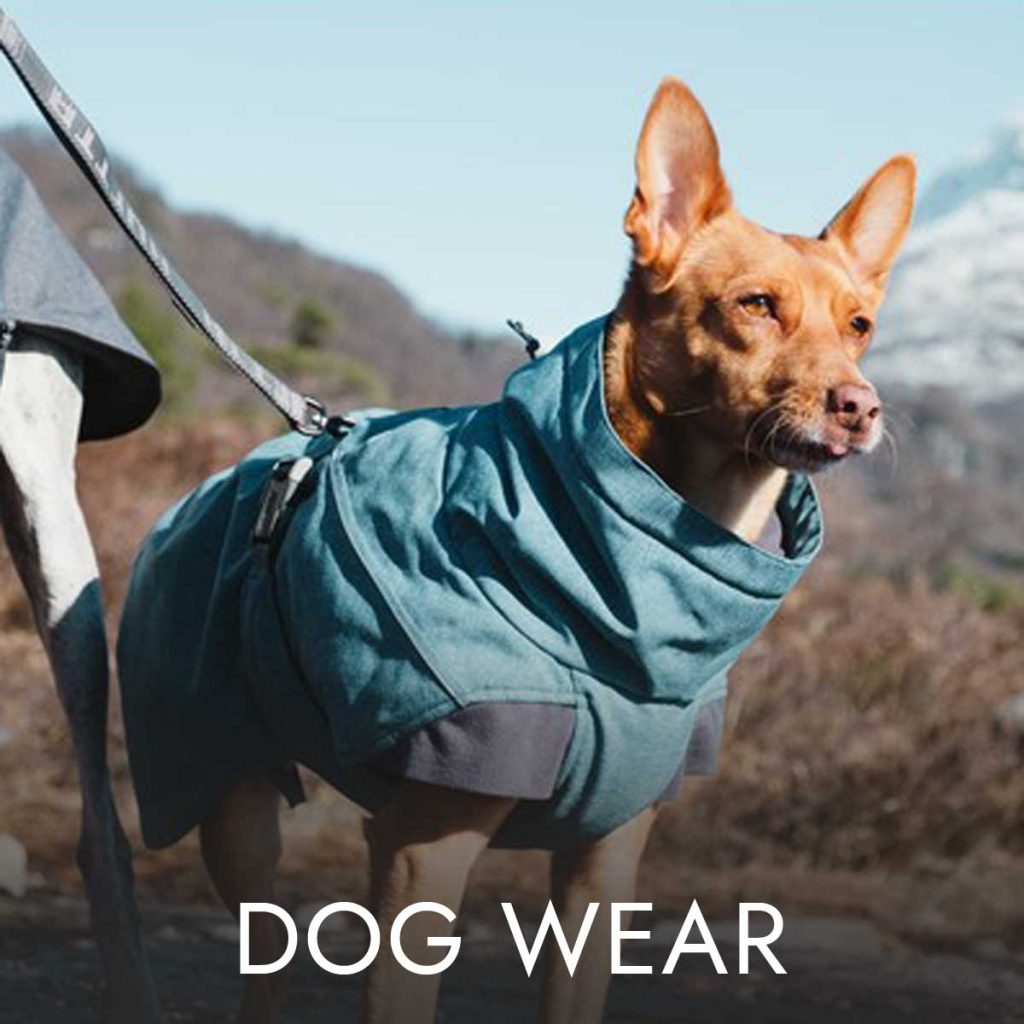 Button-Dog-Wear