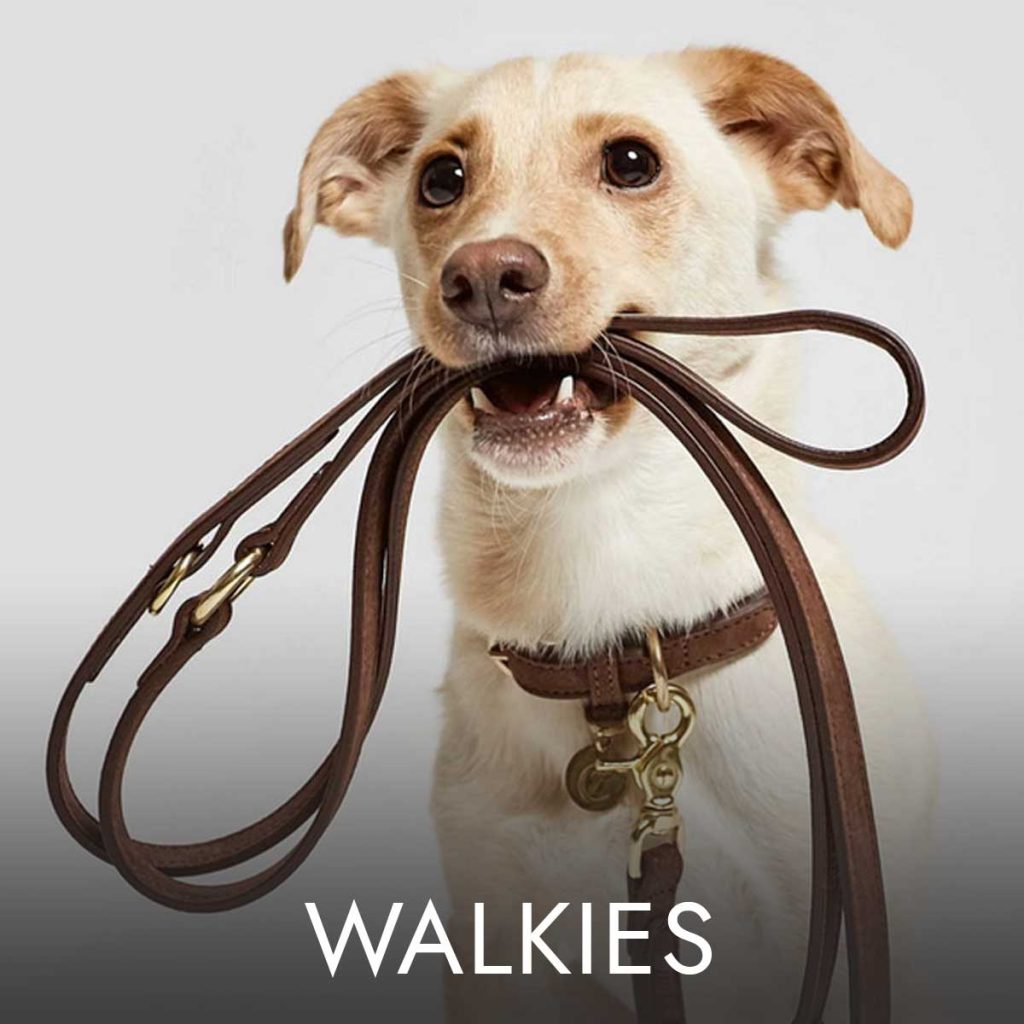 Button-Walkies