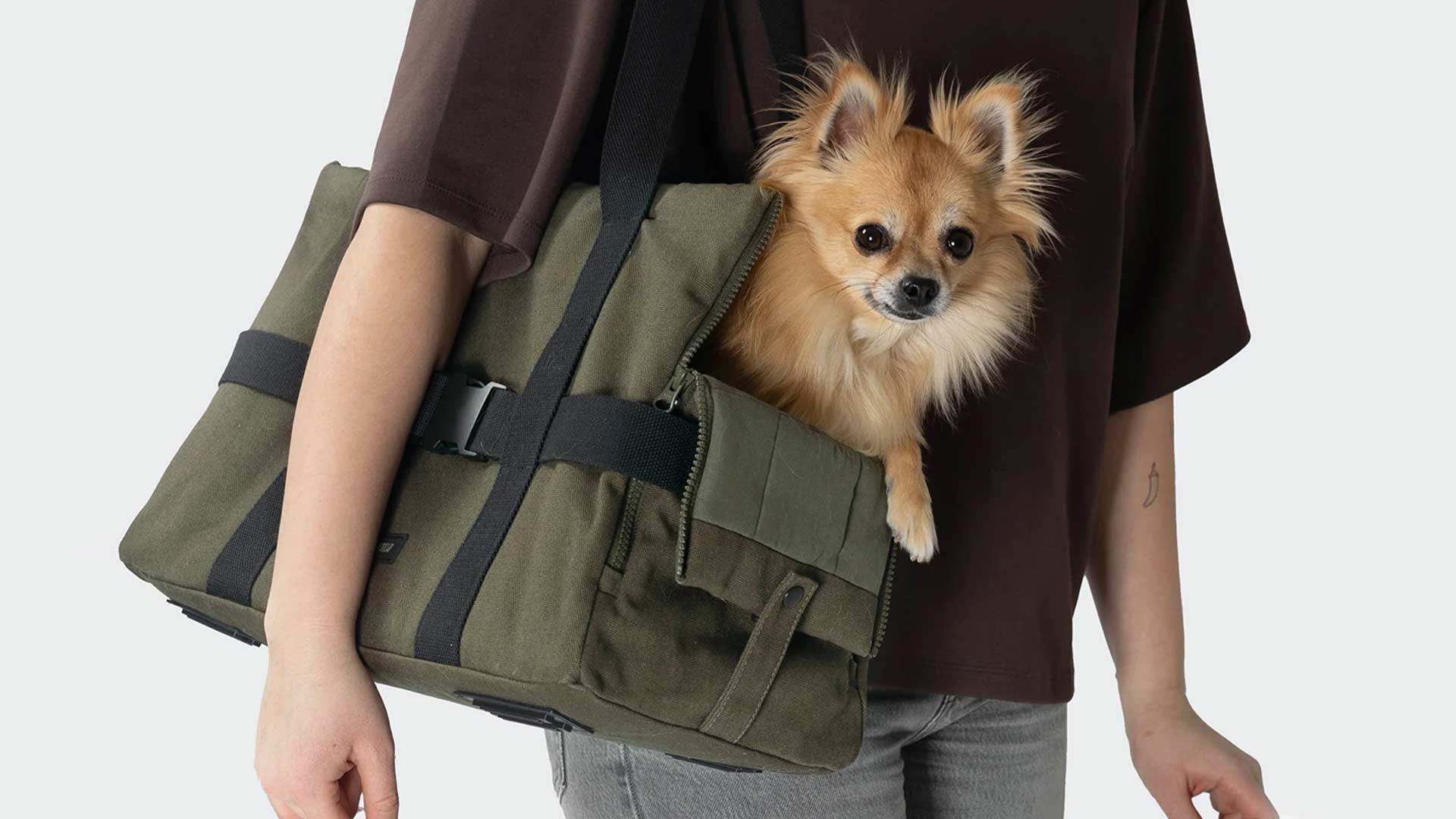 Pet-Product-Dog-Carrier